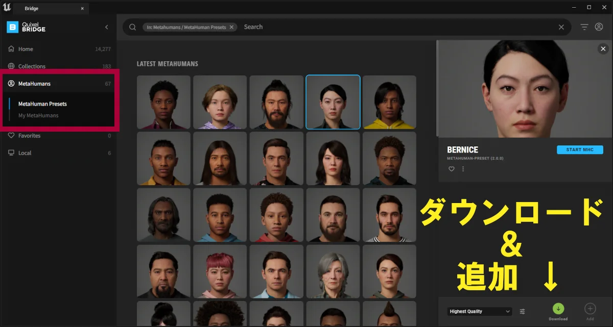 Quixel Bridge のメタヒューマンダイアログ